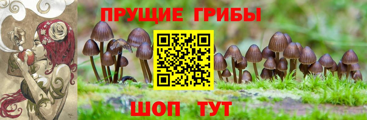 Галлюциногенные грибы MAGIC MUSHROOMS  Галлюциногенные грибы мухоморы  Вход с VPN  Абинск 